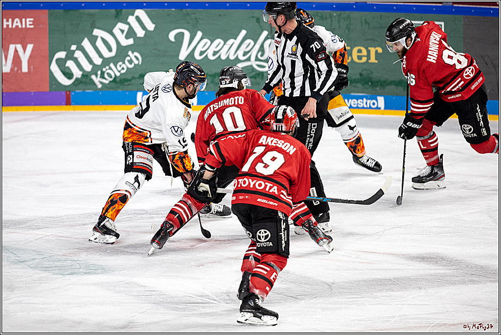 DEL;  Koelner Haie - Grizzlys Wolfsburg; Koeln, 25.02.2020